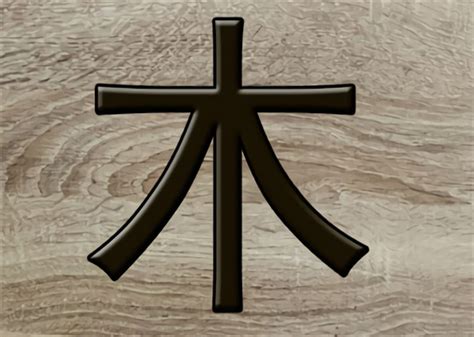 木太多的人|八字木多代表什么 八字木多的人命好不好